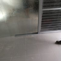 WhatsApp Image 2024-08-19 at 14.01.00